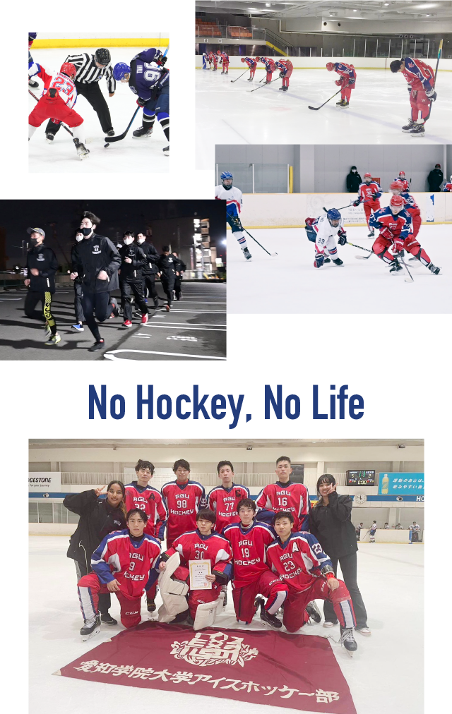 No Hockey, No Life